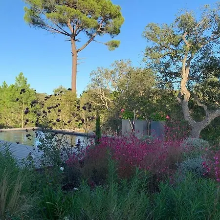 Villa La Cupulatta By Intendance Excellency